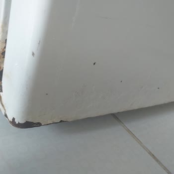 Vestel Buzdolabı Pas Akıtıyor