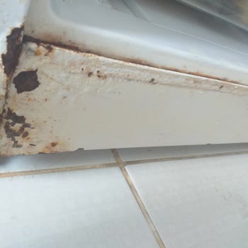 Vestel Buzdolabı Pas Akıtıyor