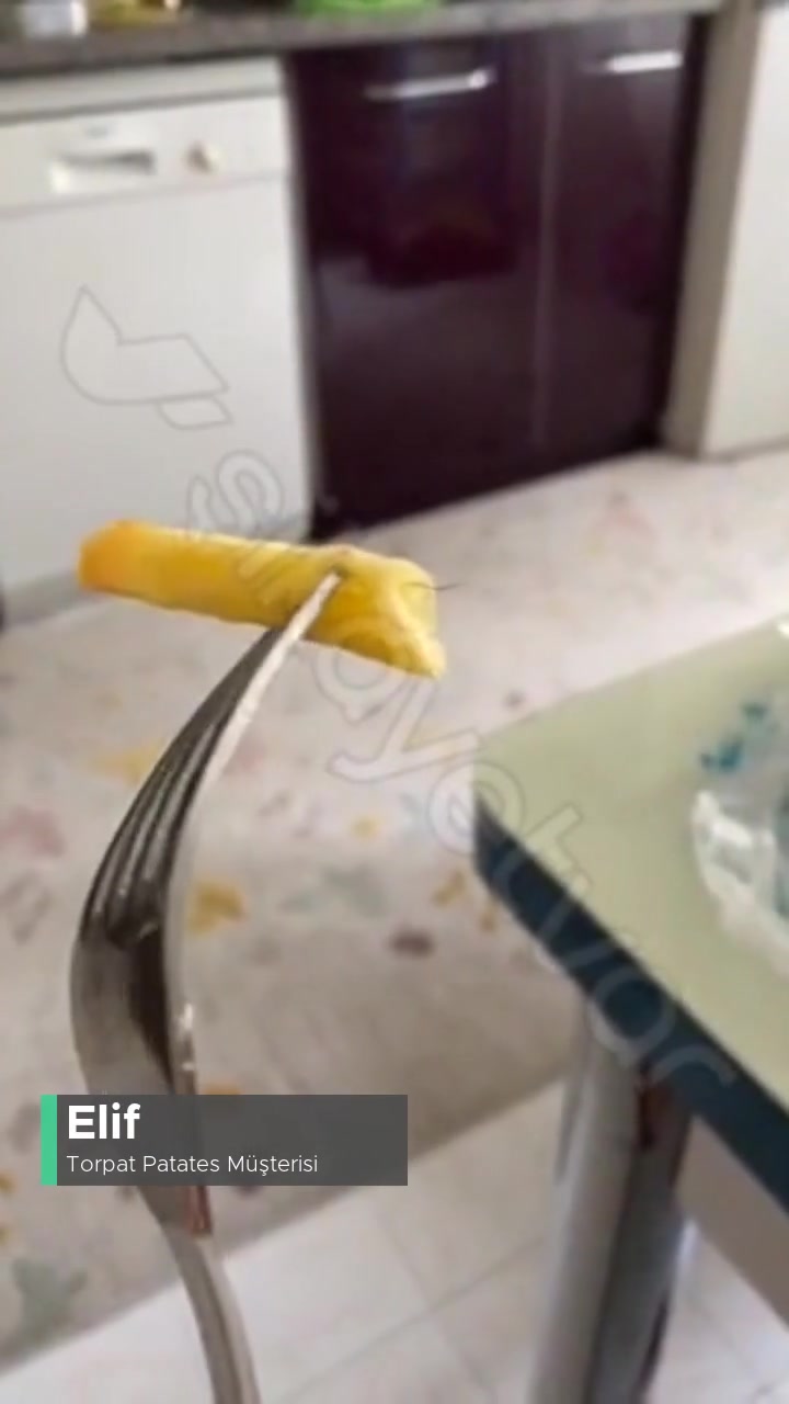 Torpat Patates Patatesten Kıl Çıktı videonun kapak resmi