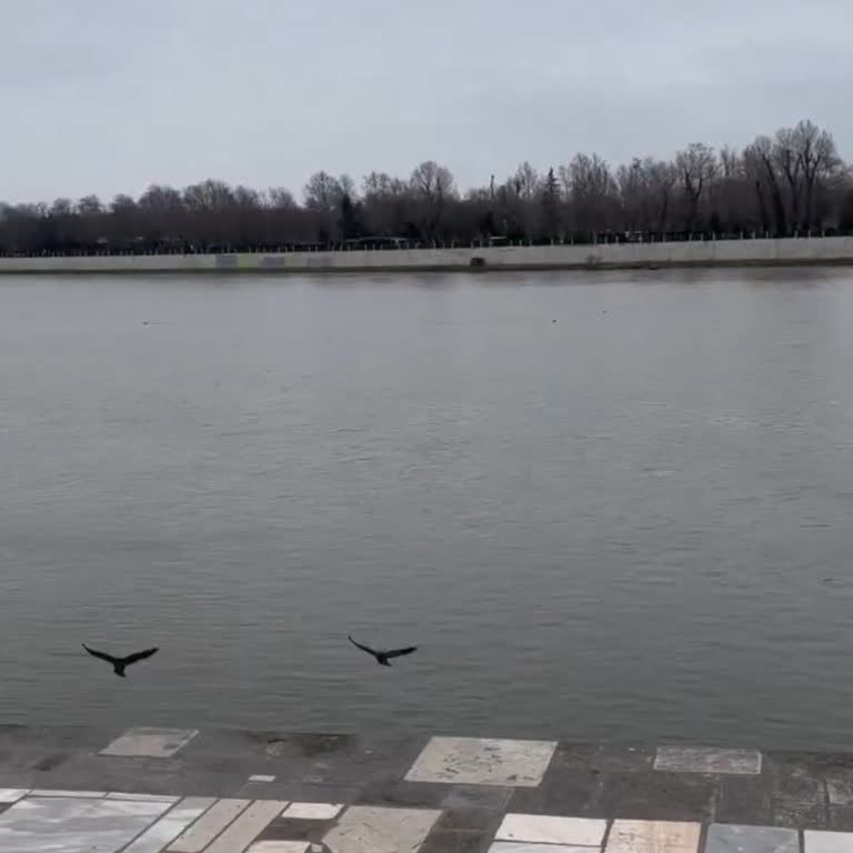 QNB Mobil Bankacılıkta Trafik Sigortası İptal Sorunu