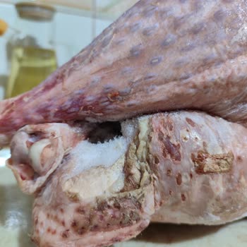 Alp Hindi - A101 Üretim/Tüketim Tarihsiz Yanık Ürün Satışı!