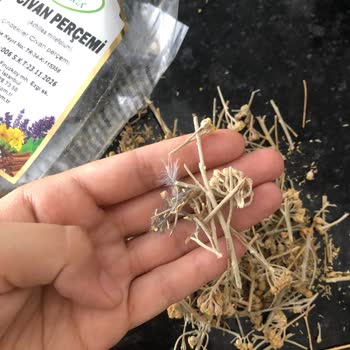 Saklı Doğa (Saklidoga.com.tr) Kuş Tüyü İçerikli Civanperçemi!