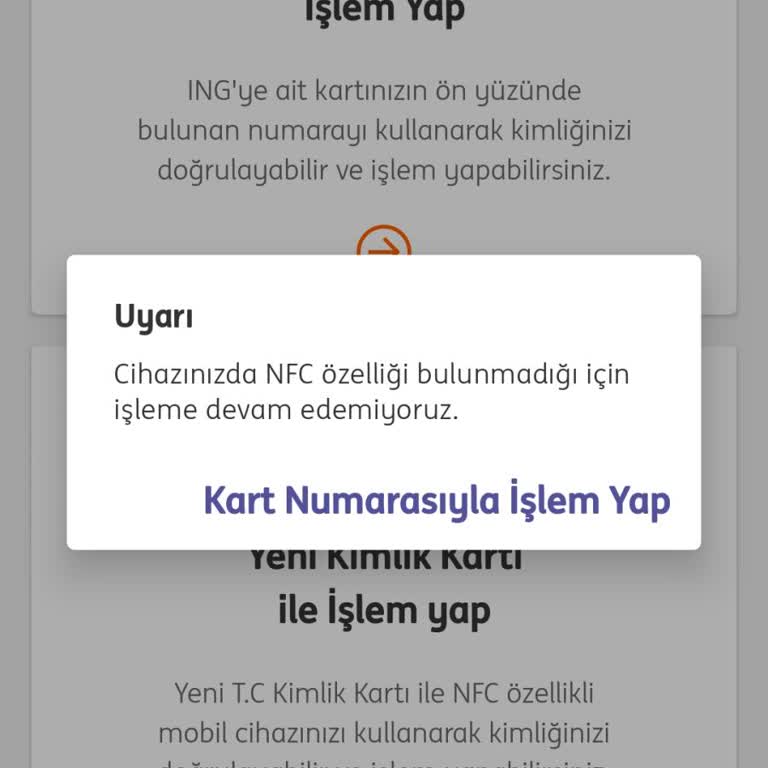 ING Mobil Şifre Yenileme