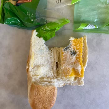 Dardanel Sandviç Küflü Çıktı