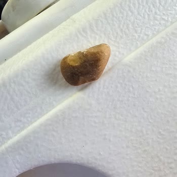 Çitlekçi Taş Satan Kuruyemişçi