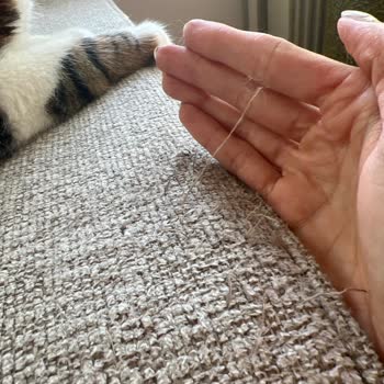 Doğtaş Pati Dostu Kumaş Yalanı