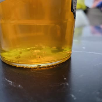 Anavarza Balda Küf Benzeri Oluşum