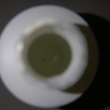 Maruderm Tonigimin İçi Böceklenmiş