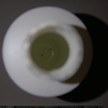 Maruderm Tonigimin İçi Böceklenmiş