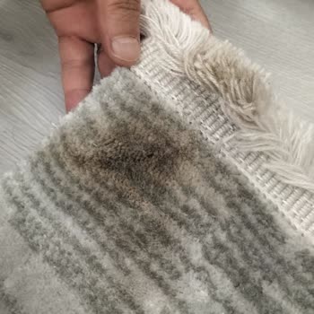 Genç Halı Yıkama (Ankara) Demetevler Genç Halı Yıkama Terbiyesizliği