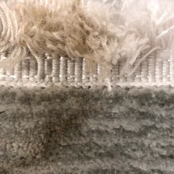 Genç Halı Yıkama (Ankara) Demetevler Genç Halı Yıkama Terbiyesizliği