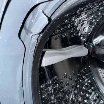 Samsung Çamaşır Makinesi Körük Lastiği