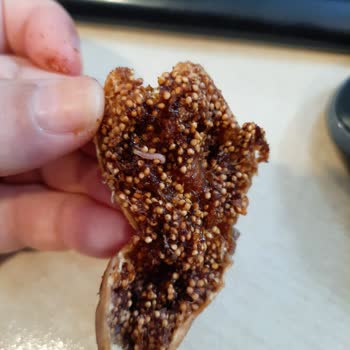 Migros'tan Aldığım Kuru İncirler Kurtlu Çıktı