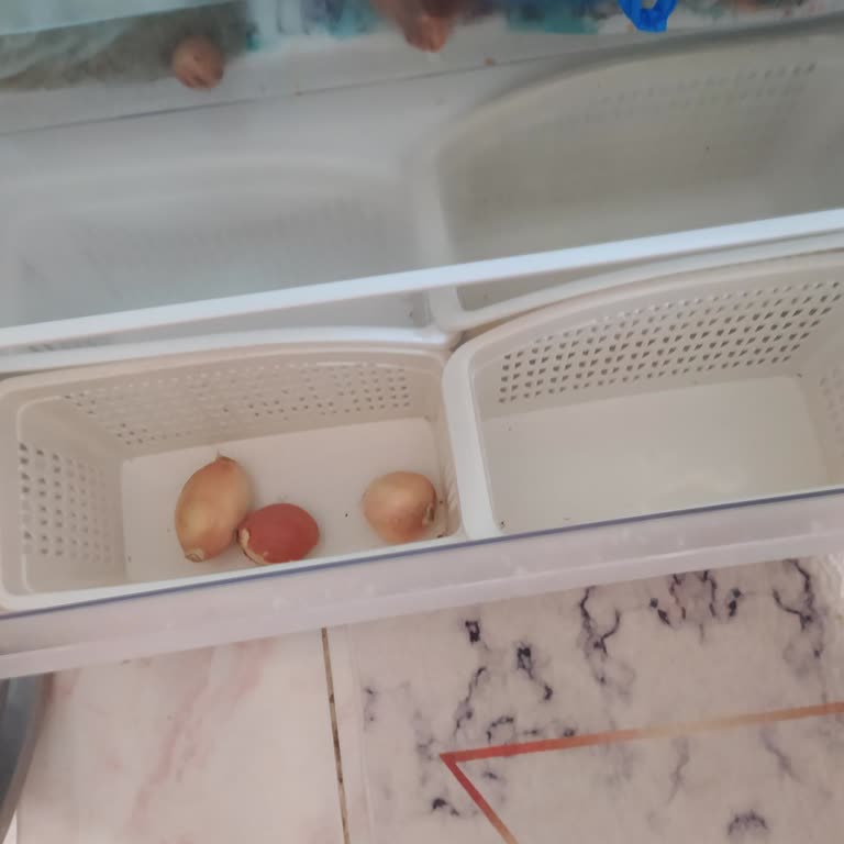 Aile Sosyal Hizmetler Bakanlığı İptal Edilen Kart Yardımıyla Mağduriyet Yaşıyorum