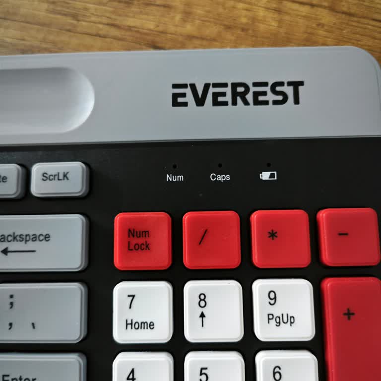 Everest KB-88 Klavyem Çalışmıyor