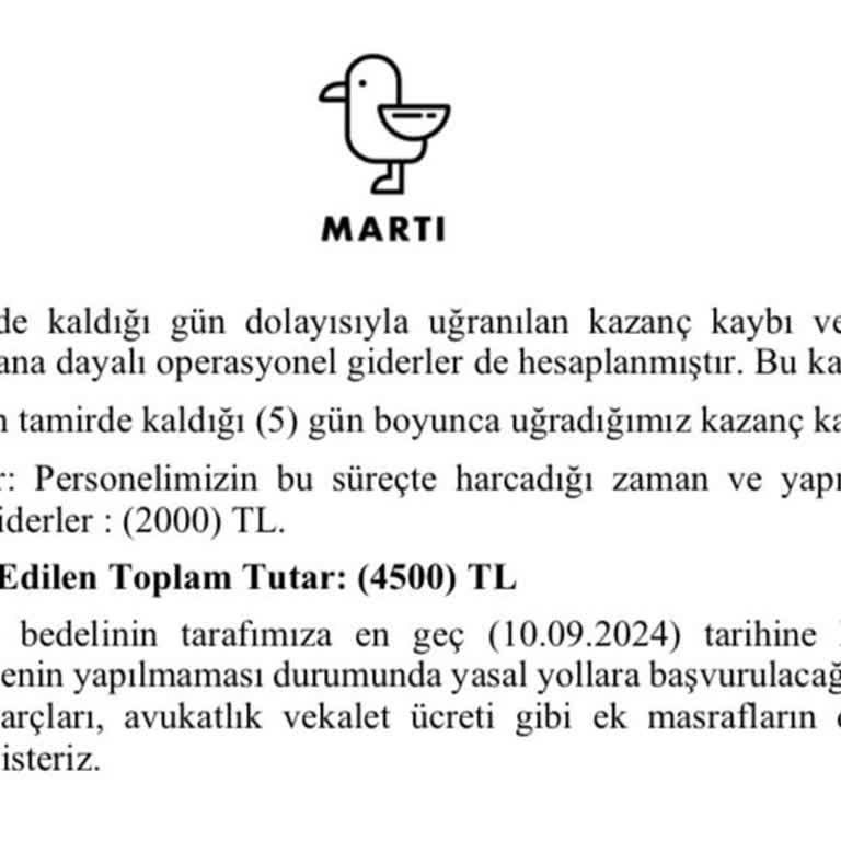 Martı Kaza Yapmama Sebep Olup Yaralandığım Halde İcraya Veriyor!