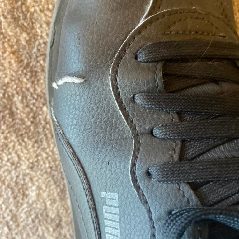 Pumanın Deri Yırtılması