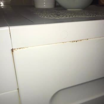 Miele Çamaşır Makinesi Paslanması Ve Tambur Yerinden Çıkması