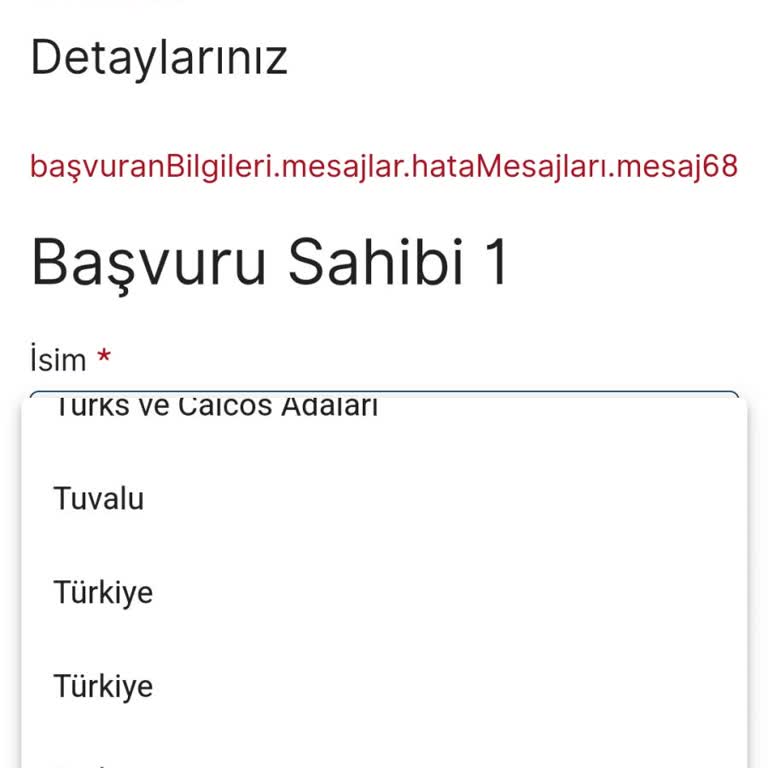 VFS Global VFS Sistem Hatası, Randevu Bilgisi Değiştirmiyor