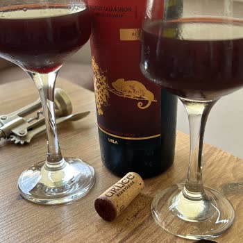 Urlice Vineyards Kusurlu Kırmızı Şarap Ve Yetersiz Müşteri Hizmeti