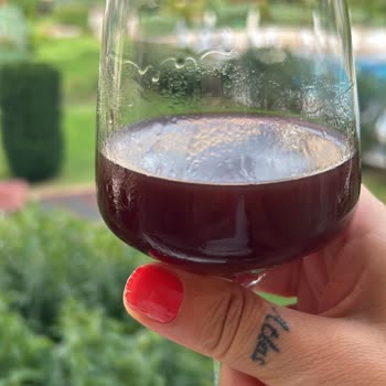 Urlice Vineyards Kusurlu Kırmızı Şarap Ve Yetersiz Müşteri Hizmeti