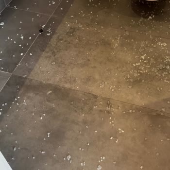 Paradise Gündoğan Hotel Mağduriyeti