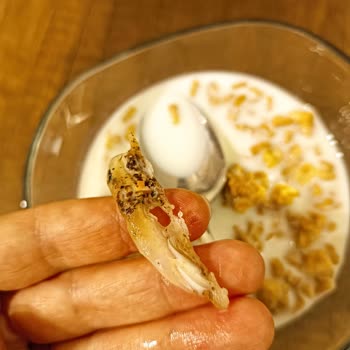 Eti Gıda Eti Granola Silikon