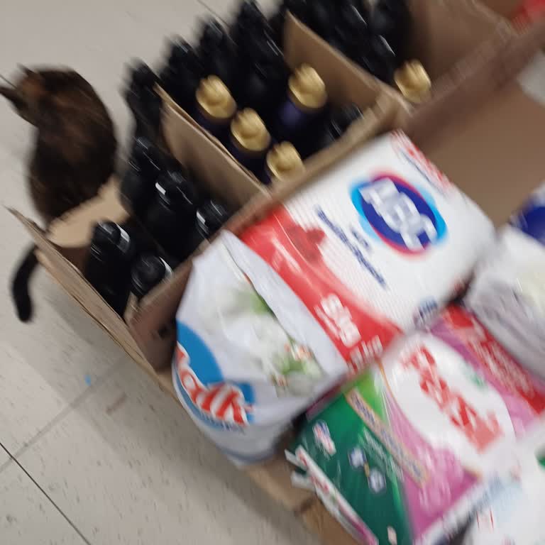 A101 Sorumsuz Mağaza Mudur Yardımcısı