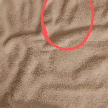 IVY Sailing Resort Hotel Kötü Hizmet Ve Hijyen Sorunlarıyla Dolu Bir Otel Deneyimi