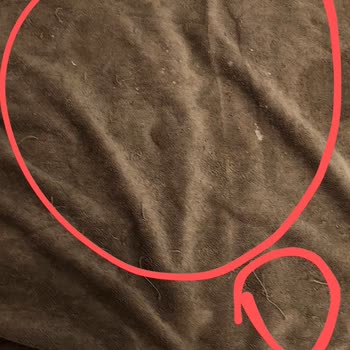 IVY Sailing Resort Hotel Kötü Hizmet Ve Hijyen Sorunlarıyla Dolu Bir Otel Deneyimi