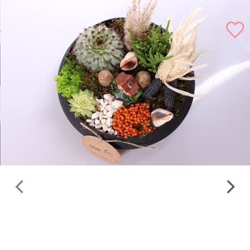 Taze Çiçek Ürünleri Sıfır Müşteri Memnuniyeti! Çöp Yollanmış