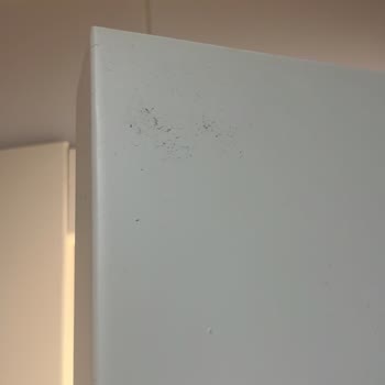 Temizlik Evi (temizlikevi.com.tr) Firması İşini Yapmamıştır