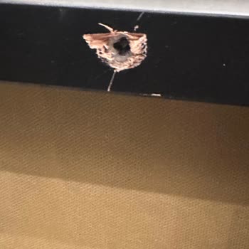 Mfk Home Kırık Eşya Teslim Alındı