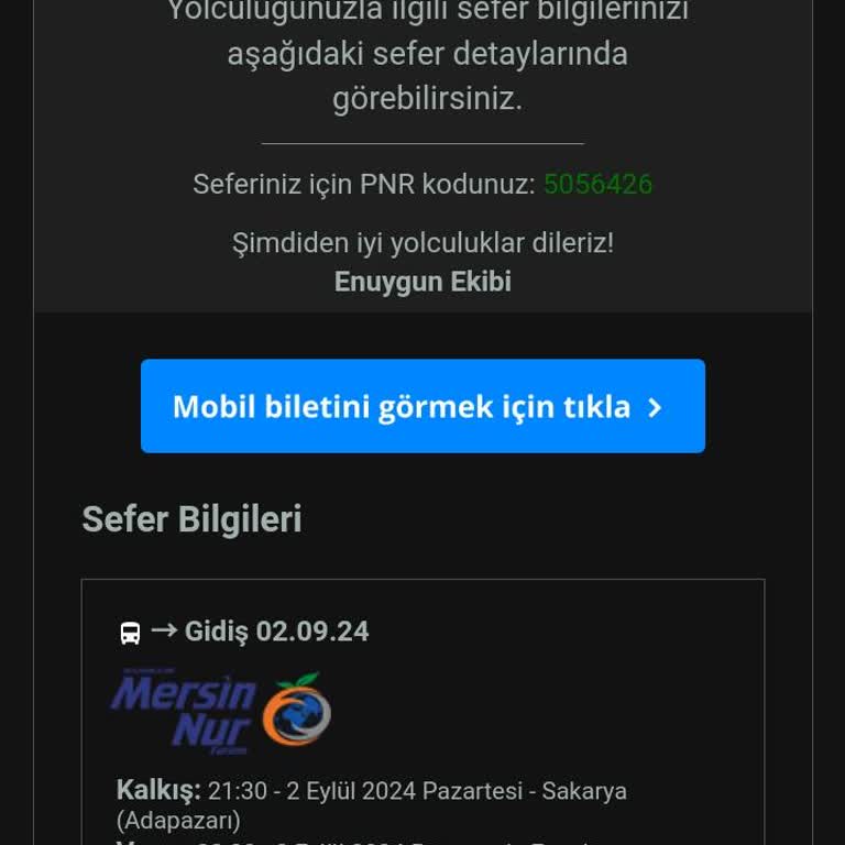 Mersin Nur Turizm İle Yaşanan Ulaşım Sorunu Ve İptal Problemi