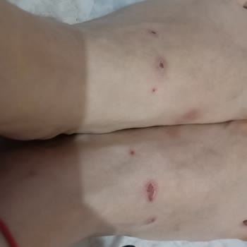 FLO Ayakkabı Yanıltıcı Bilgiyle Satılan Terlikler Ve İade Sorunu