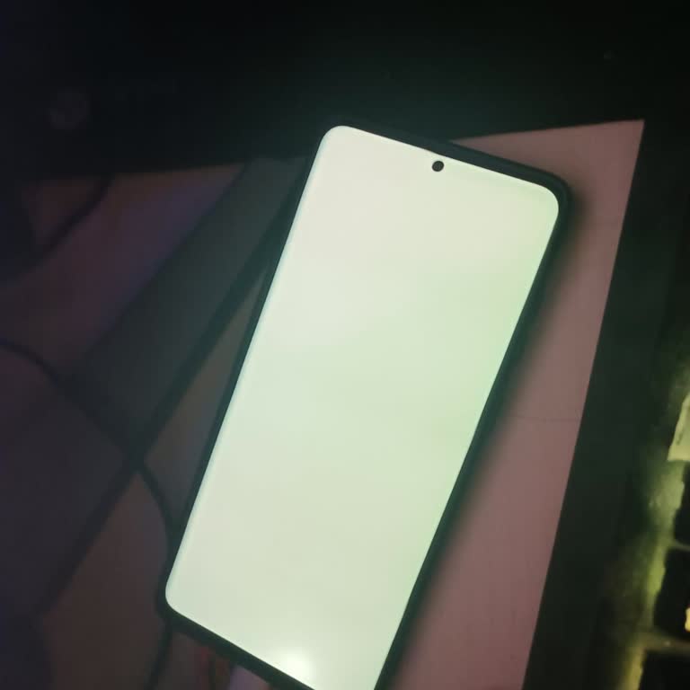 Samsung Galaxy S20 Plus Beyaz Ve Yeşil Ekran Problemi