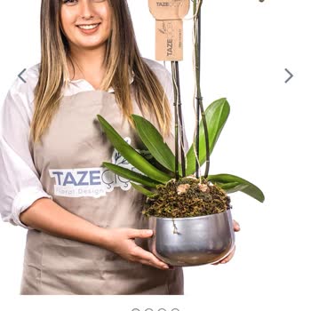 Taze Çiçek (tazecicek.com) Yanlış Ürün Teslimatı Ve İade Talebi!