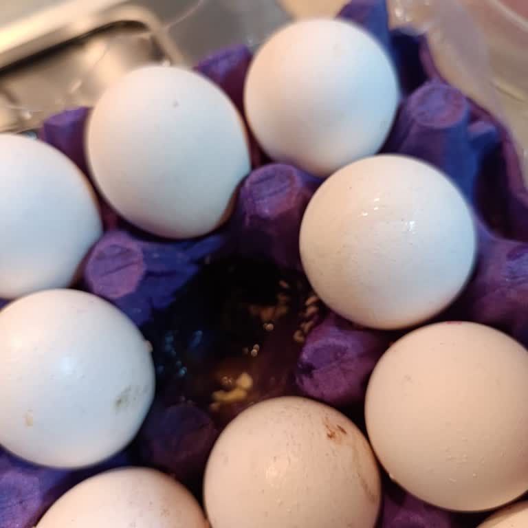 İyigün Gross İyi Gün Gros Şikayetler