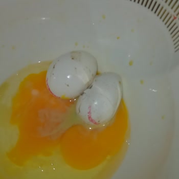 Anadolu Çiftliği Yumurta İçerisinden Hücre Çıktı