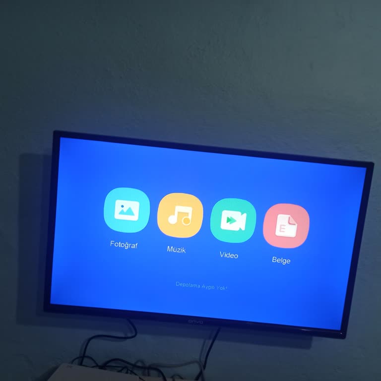 Onvo TV Depolama Aygıtı Yok Hatası