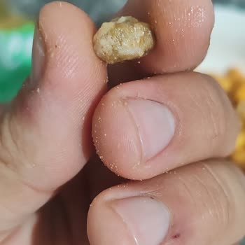 Peyman Bahçeden Ortaya Karışık Soslu Çerez İçinden Soslu Taş Çıkması