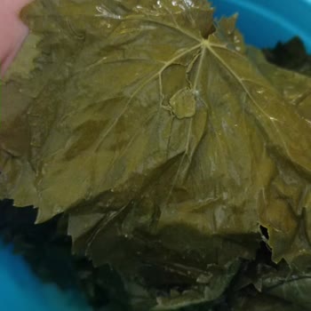 Mavi Bostan Şikayet Mavi Bostan Şikayet Var