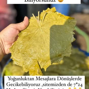 Mavi Bostan Şikayet Mavi Bostan Şikayet Var