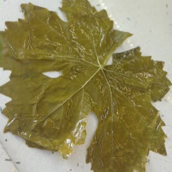 Mavi Bostan Şikayet Mavi Bostan Şikayet Var