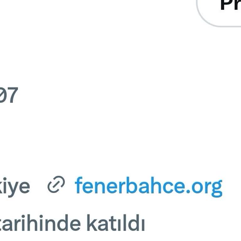 Twitter Mavi Tik Gelmedi