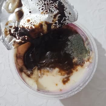 Eker Küflenmiş Kazandibi Tatlısı İle Karşılaştım