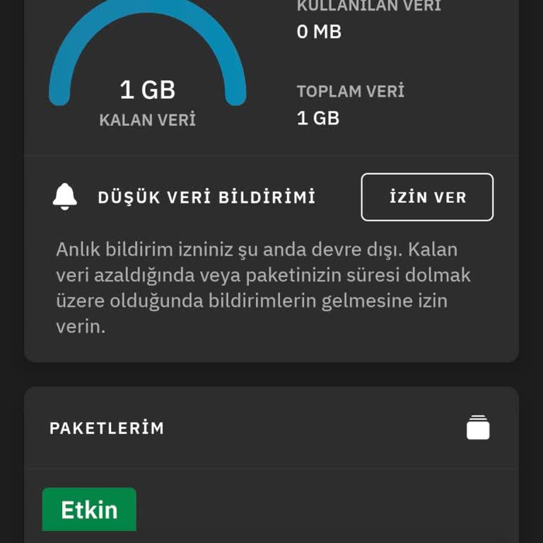 Airalo Aldığım Esim Aktif Ama Kullanılmıyor