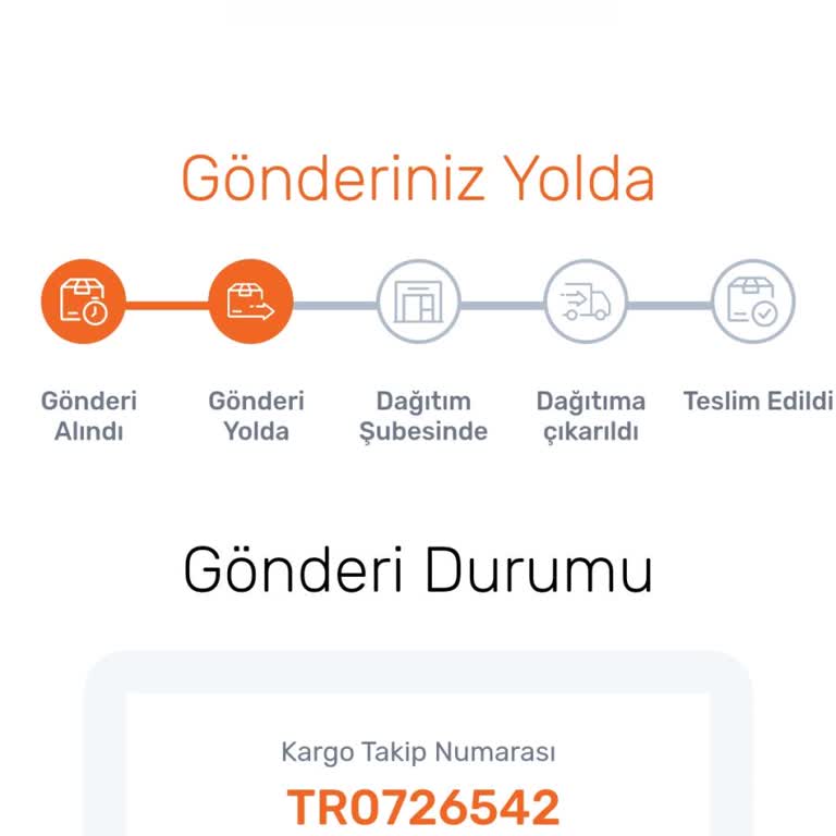 Ceva Kargoyu Teslim Etmiyor