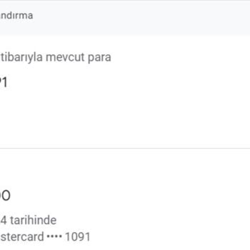Google AdSense Ads Eksi Hesap Bakiyesi