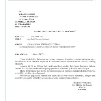 İstanbul Varlık Yönetim Tek İcraya Çift Dosya